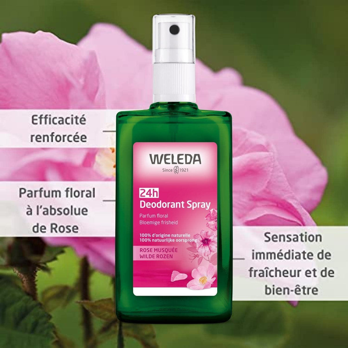 Weleda Wild Rose Deodorant Spray 3.4 oz