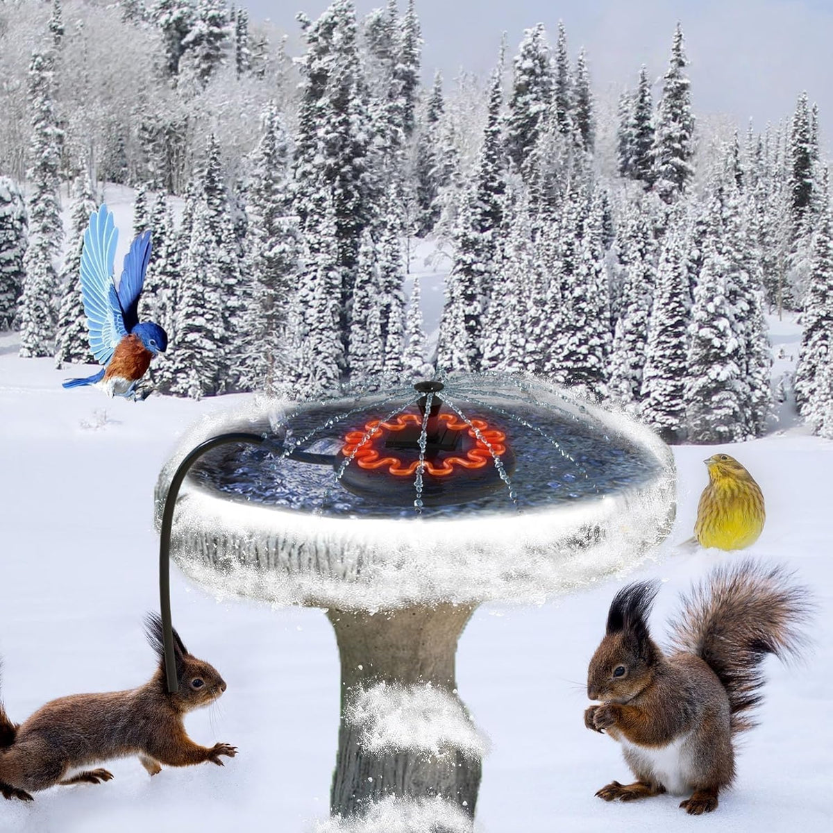 ikuchelife Bird Bath Heater for Outdoors with Water Pump in Winter, Deicer for Birdbaths with Thermostatically Controlled and 3.3ft Long Cord, Pond De-icer 70W for Patio Yard Various Bird Baths